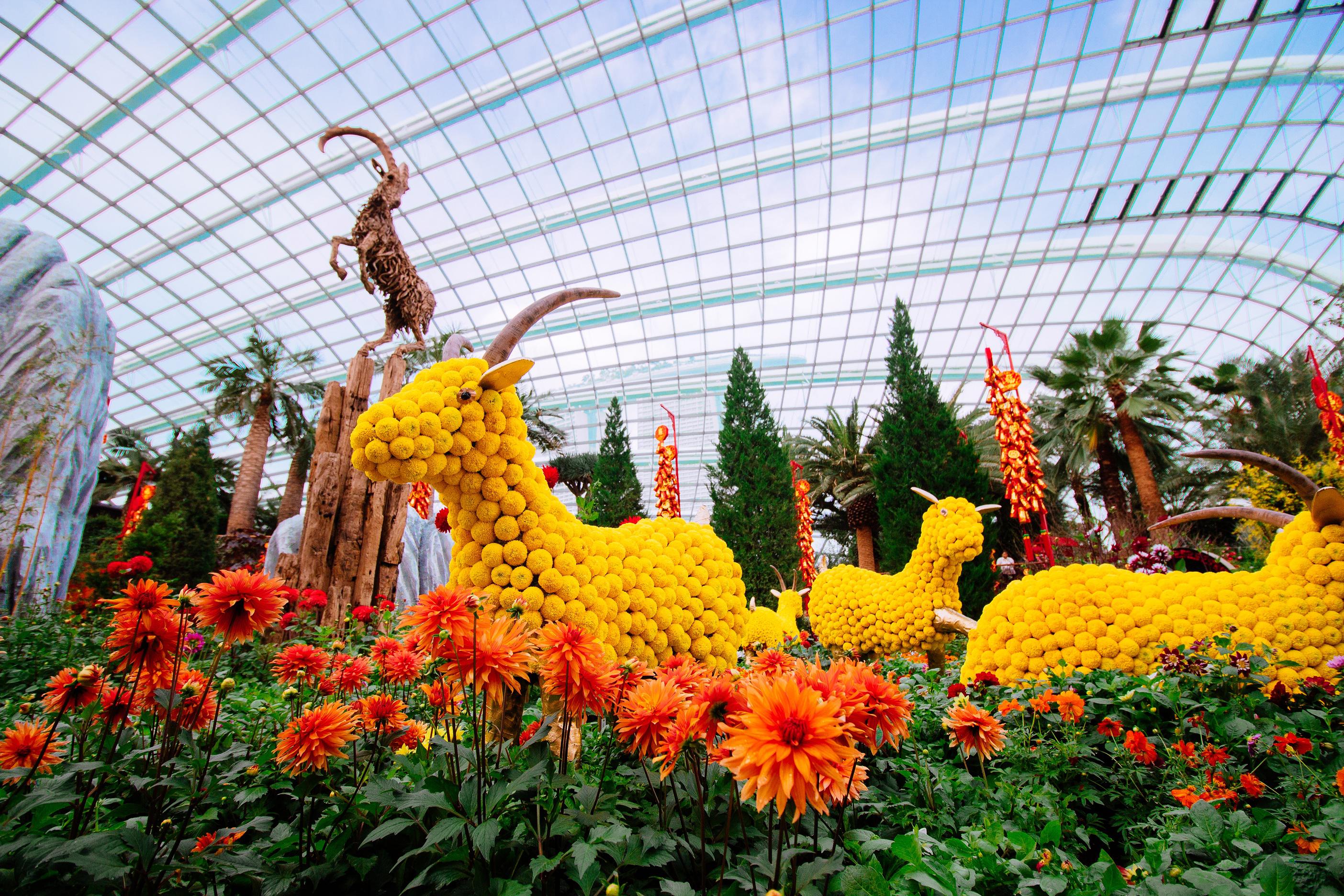 Сингапур Ботанический сад купол цветочный